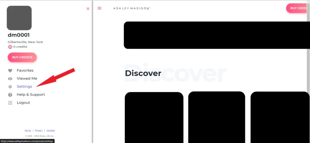 How to Delete Ashley Madison Account Using Desktop or Mobile Web 03